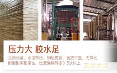 建筑模板一站式采購(gòu)-弘獅模板更省心 建筑模板一站式采購(gòu)-弘獅模板更省心