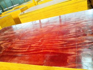 80%建筑木模板質量根源在這!你了解過嗎? 80%建筑木模板質量根源在這!你了解過嗎?