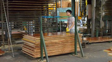 「 廣西建筑模板工廠(chǎng)」廣西弘獅木業(yè)廠(chǎng)區(qū)介紹 「 廣西建筑模板工廠(chǎng)」廣西弘獅木業(yè)廠(chǎng)區(qū)介紹